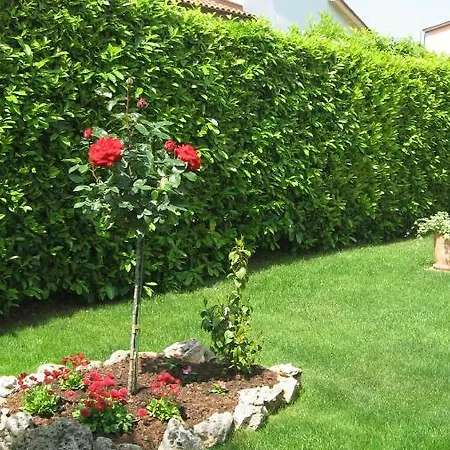 Grozdanic Apartment *